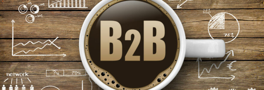 plateforme B2B